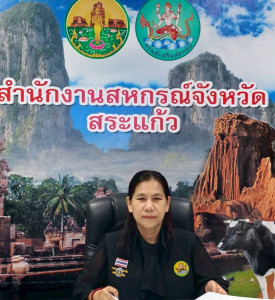 เข้าร่วมการประชุมคณะทำงานระดับจังหวัดแก้ไขปัญหาในการดำเนินงานของสหกรณ์และกลุ่มเกษตรกรที่มีข้อบกพร่อง ( จกบ.) ครั้งที่ 1/2569 ... พารามิเตอร์รูปภาพ 1